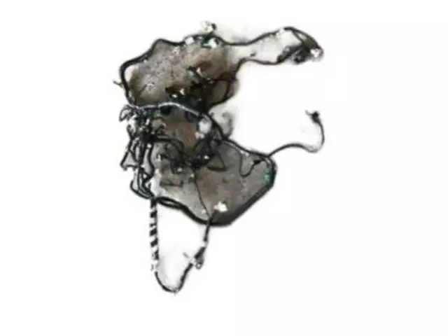 HL3Z14401CD - Electrical: Wire Harness for Ford: F-150 Image