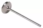 12668544 - : Intake Valve for ACDelco Image