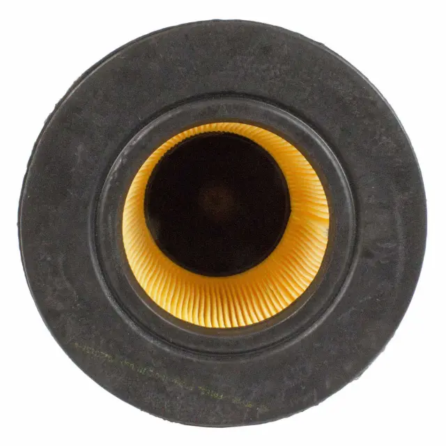 Element Assembly Air Cleaner - Ford (F5OZ-9601-BB)