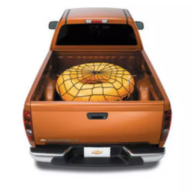 Bed Cargo Net - GM (12343598)