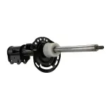 ASH866088 - Suspension: Motorcraftâ„¢ Strut for Ford Image