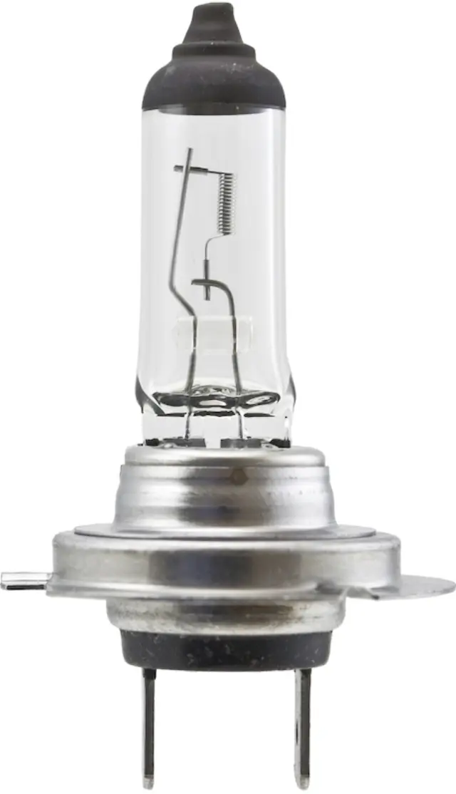 H7100W - Lighting &amp; Lamps: Hella Multi-Purpose Light Bulb for Hella Image