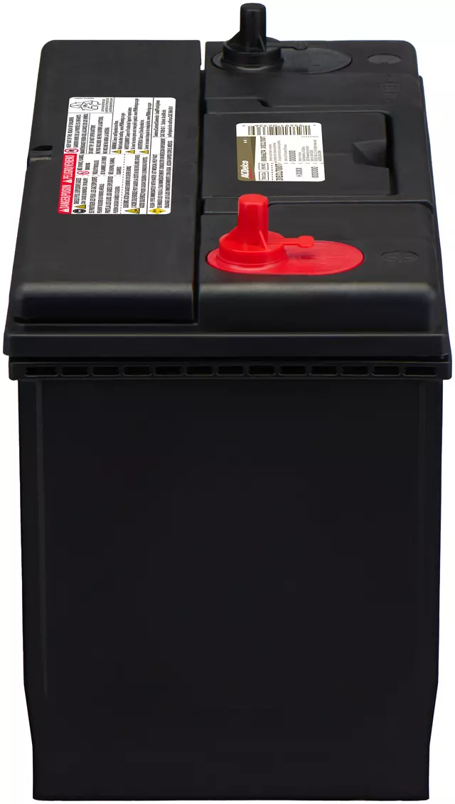 Vehicle Battery - ACDelco (31ECL700T)