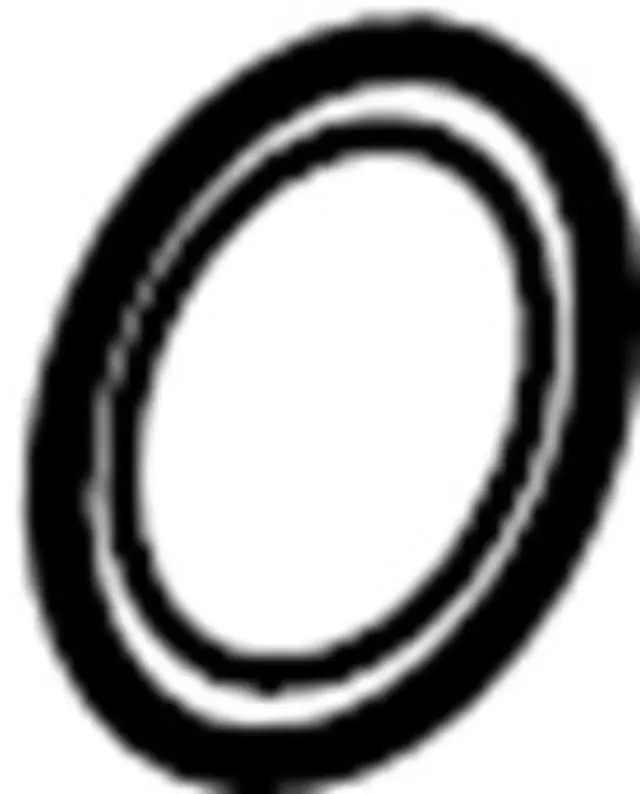 2069119U0A - Exhaust: Catalytic Converter Gasket for INFINITI: EX35, EX37, FX35, FX37, G35, G37, M35, M35h, M37, Q40, Q50, Q60, Q70, Q70L, QX50, QX60, QX70 Image