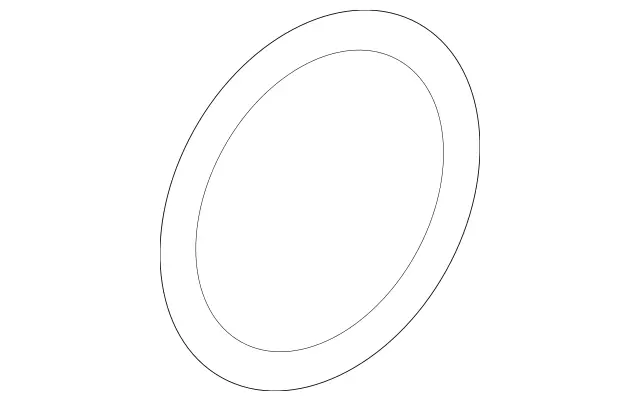 139201000064 - Cooling System: Water Pump O-Ring for Mercedes-Benz Image