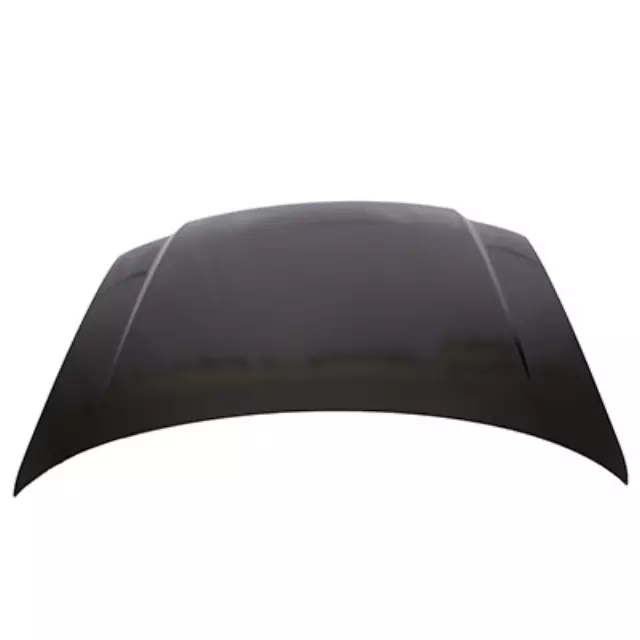 Hood - Ford (2L1Z-16612-AA)