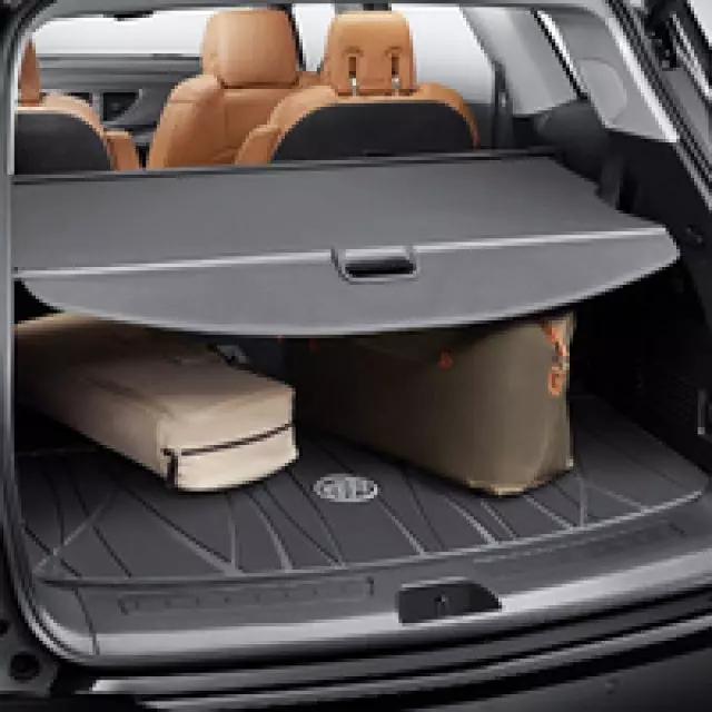 84274427 - : Cargo Area Security Enclosure for Buick: Enclave Image