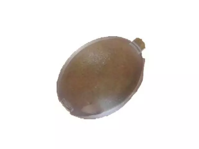 F75Z13761BA - Body: Lens for Ford: Expedition, F-150 | Lincoln: Blackwood, Navigator Image