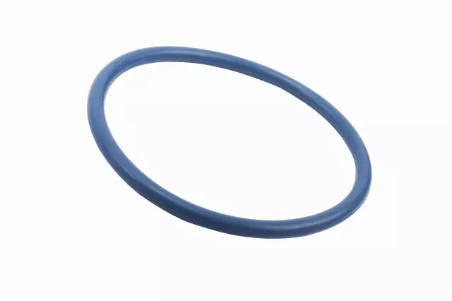 Engine Crankshaft Seal - GM (55503998)