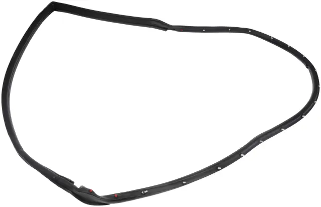 924443 - Body: Driver Door Seal for Dorman Image