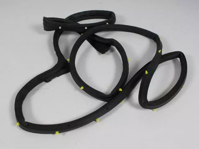 5065990AE - Doors, Door Mirrors and Related Parts: Front Door Mounted Weatherstrip, Right for Chrysler: 300 | Dodge: Charger, Magnum Image