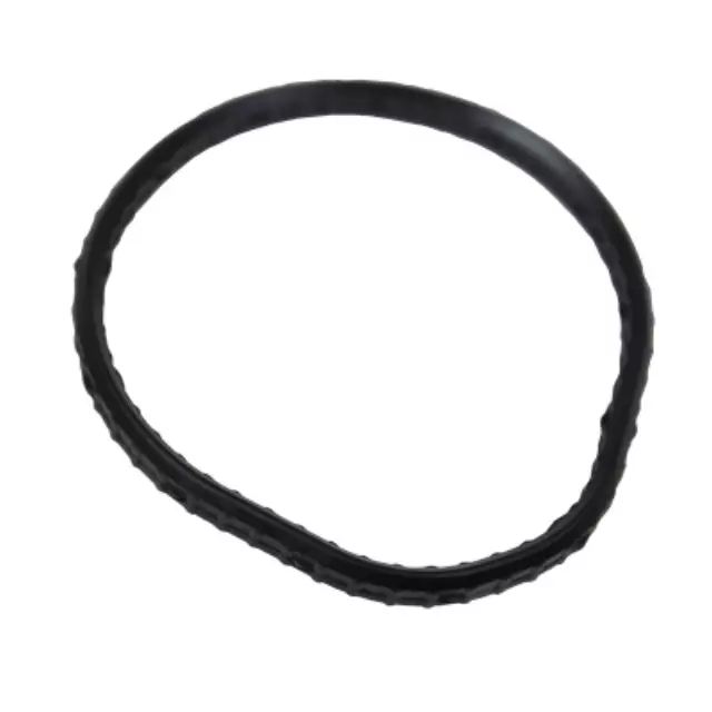 RG611 - Cooling System: Gasket for Ford: Focus Image