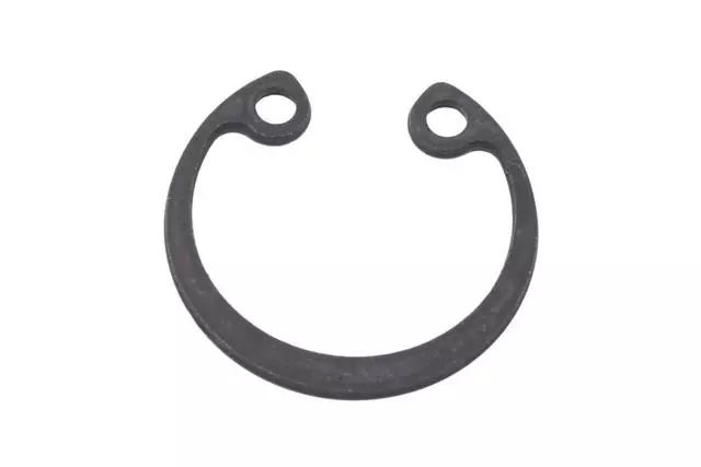 94095169 - : F Ring for GM Image