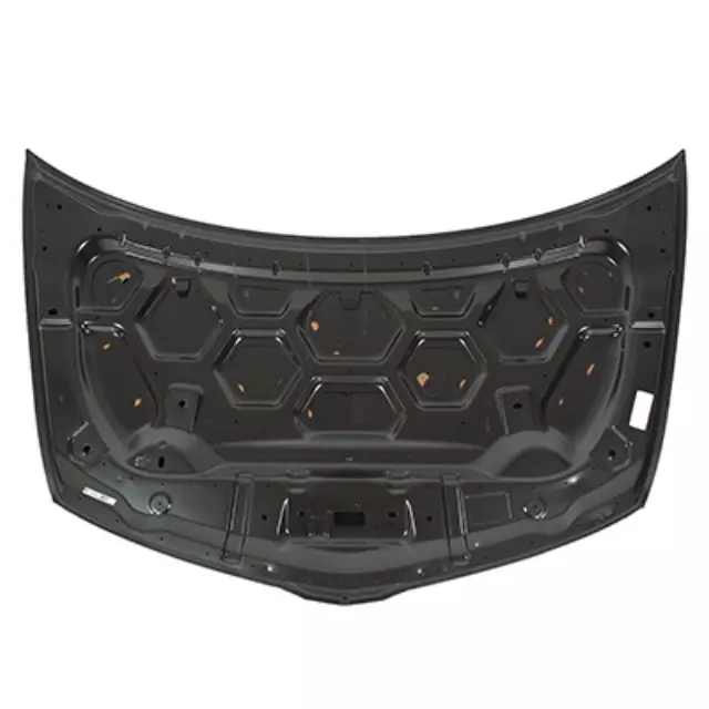 Hood - Ford (BA1Z-16612-A)