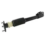 810115 - : Suspension Strut and Coil Spring Assembly for GSP Image