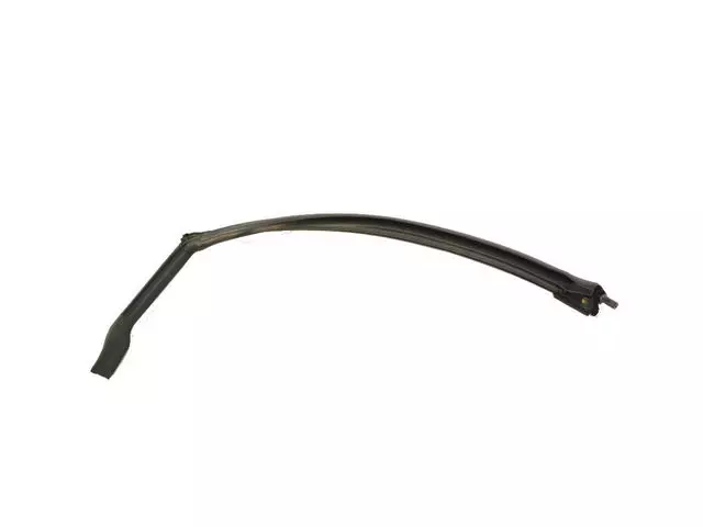 Front Door Opening Weatherstrip, Right - Mopar (68096356AD)