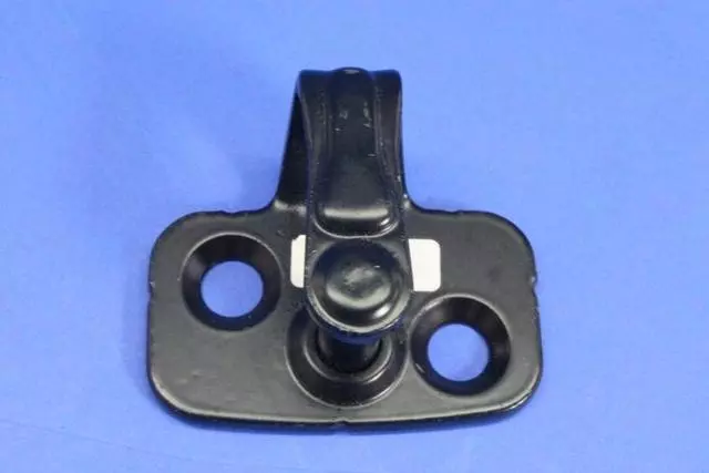 Door Lock Striker Plate - Mopar (68145349AA)