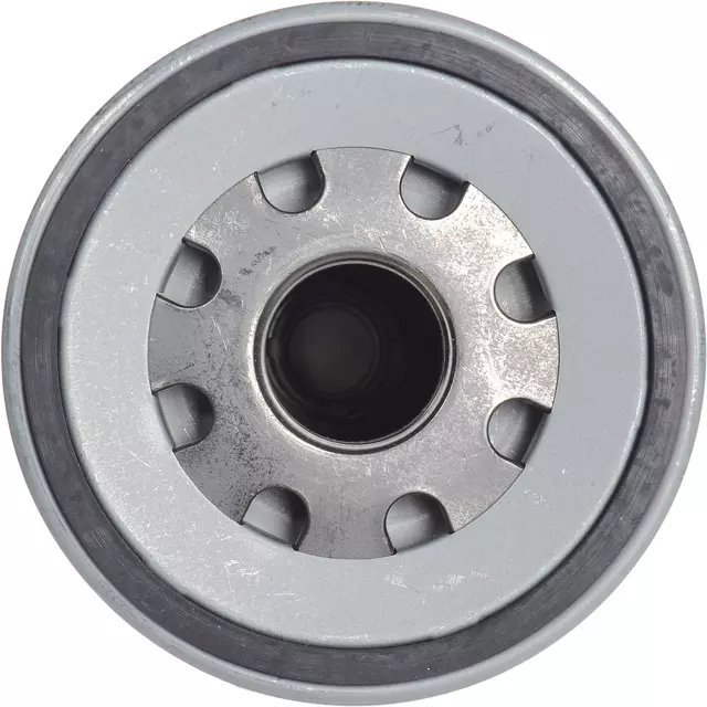 Filter - GM (89002954)