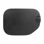 JL3Z99405A26A - Body: Fuel Door for Ford: F-150 Image