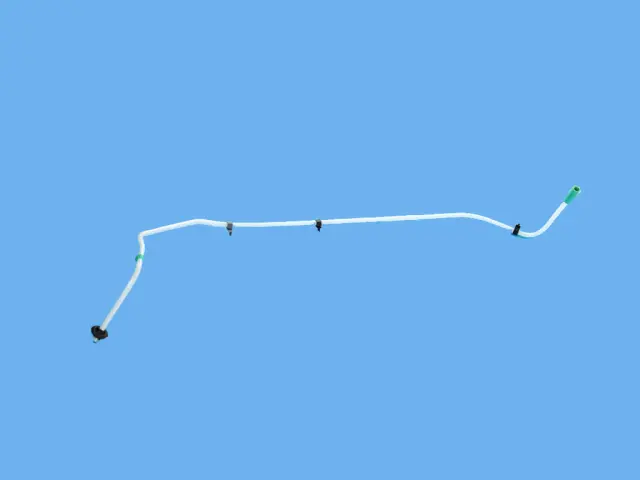 68299680AC - Body Sheet Metal Except Doors: Sunroof Drain Hose, Right for Mopar Image