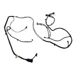 PU9Z14405AS - : Wiring Assembly Rear Lamps for Ford Image