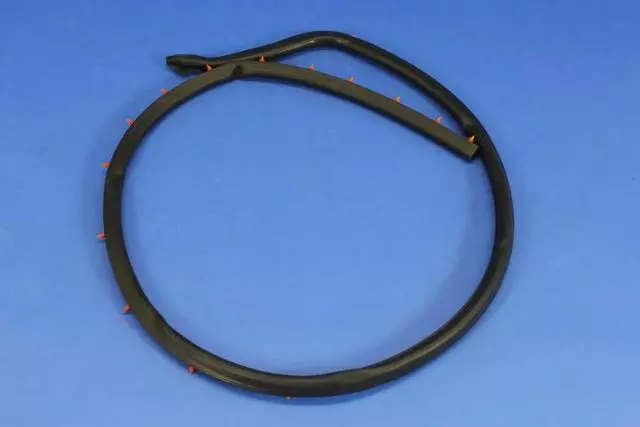 Door Weather-Strip - Mopar (68096402AC)