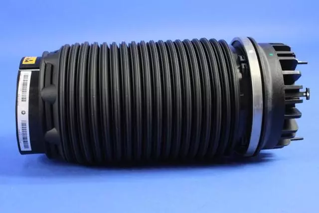 4877136AB - Rear Suspension: Air Suspension Spring Assembly for Mopar Image