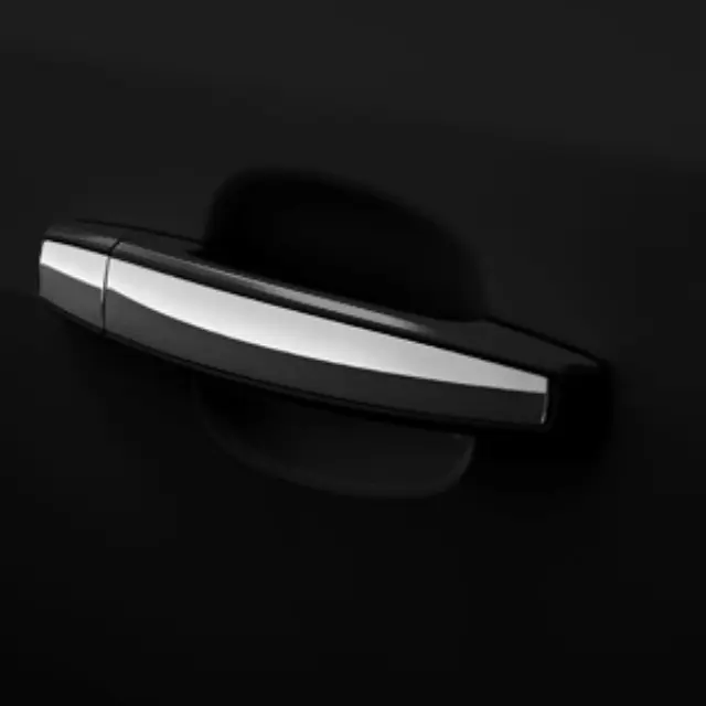 20919349 - : Door Handles, W\\/Chrome for GM Image