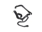 68410359AD - Cooling: Radiator Outlet Hose And Clamp for Mopar Image image