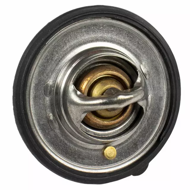 Thermostat Assembly - Ford (QRT-5)
