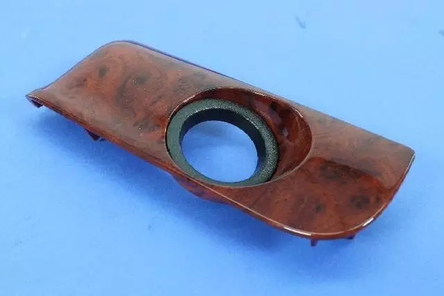 Instrument Panel Applique, Ignition Switch - Mopar (1RB74AAAAC)