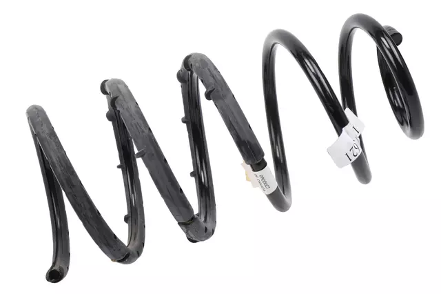 Rear Coil Spring - GM (10415621)