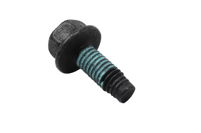 11603920 - : F (S)Bolt for GM Image