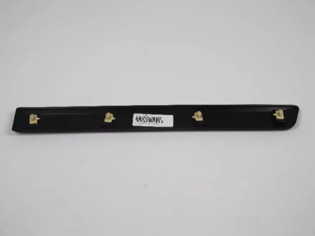 Rear Door Molding, Lower Right - Mopar (1DG40RXFAB)