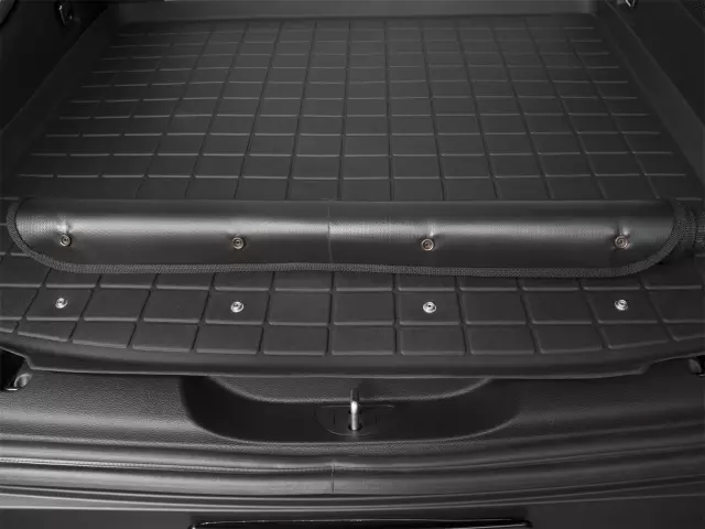 431385SK - Accessories: Cocoa Cargo Liner w/Bumper Protector for WeatherTech Image