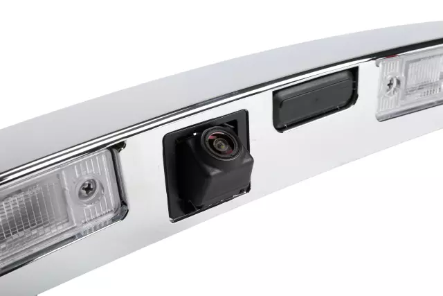 Deck Lid Center Applique with License Plate Lamp - GM (95407980)