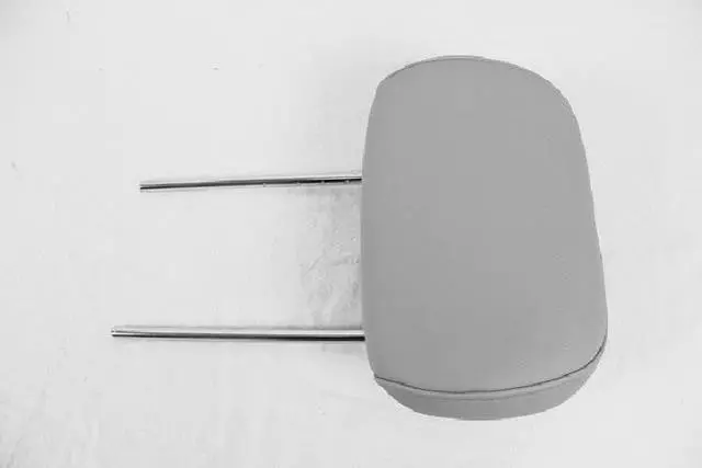 1HU501D5AA - Body: Headrest for Chrysler: Town &amp; Country | Dodge: Grand Caravan Image