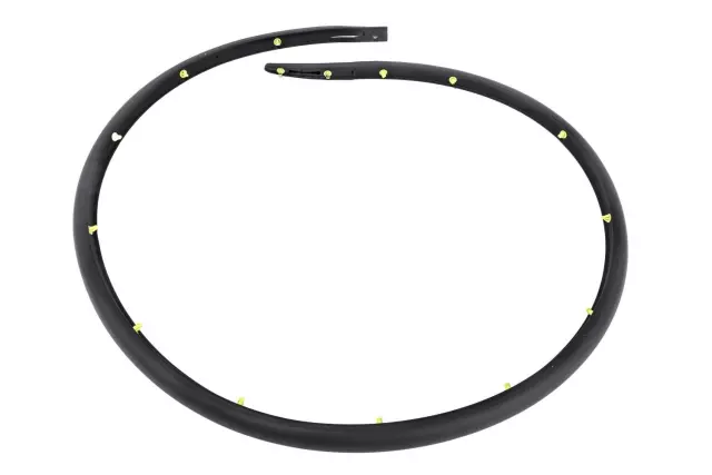 26674461 - Body: Lower Weather-strip for Buick: LaCrosse Image