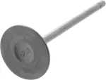 132016CA0A - : Intake Valve for Nissan: Altima, Rogue Image