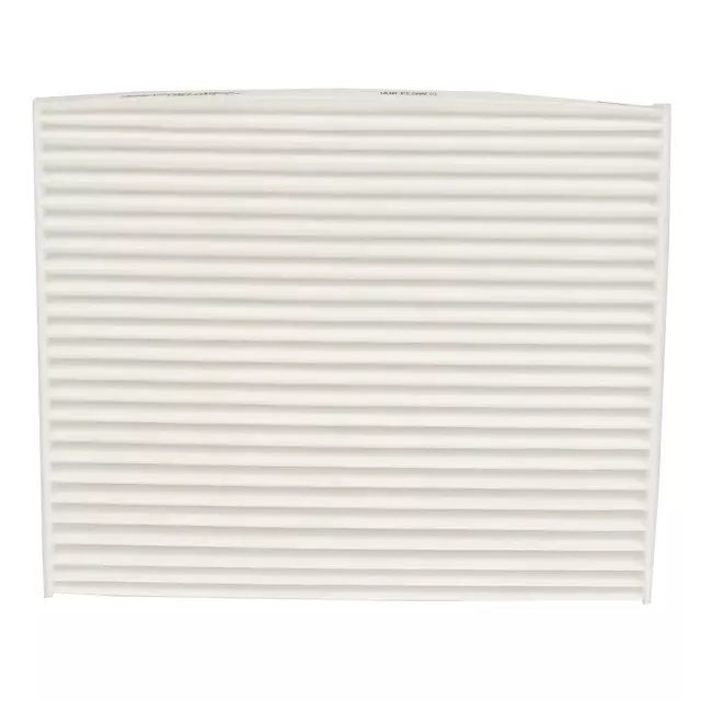 Air Filter - Ford (DG9Z-19N619-AA)