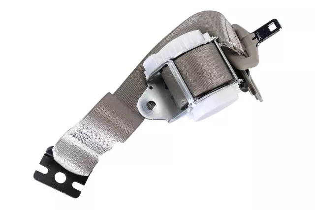 19303056 - Electrical: Outer Belt Assembly for Cadillac: Escalade ESV | Chevrolet: Suburban, Suburban 3500 HD | GMC: Yukon XL Image