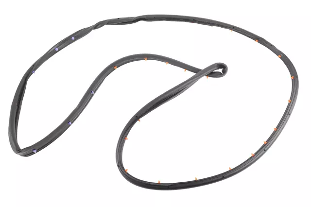 Rear Passenger Side Door Weatherstrip - GM (42440845)