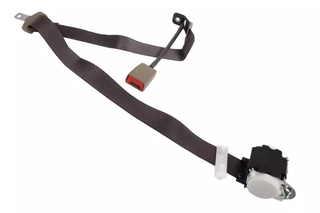 Cocoa Rear Center Seat Belt Retractor - GM (84494125)
