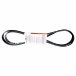 JK6931 - : Serpentine Belt  for Motorcraft Image