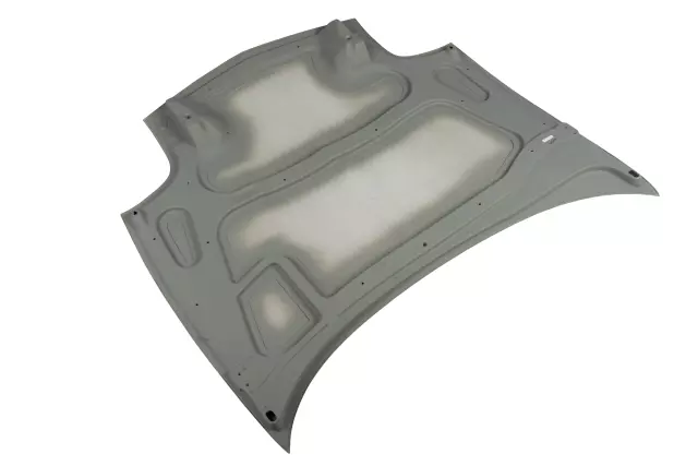 Hood - GM (10320926)