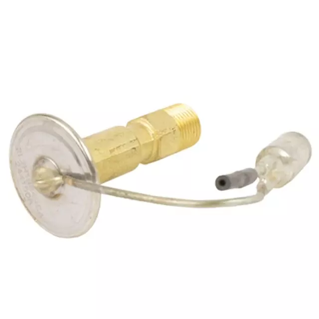 A/C Expansion Valve - Ford (2L2Z-19849-CA)