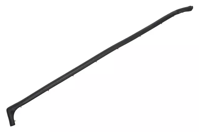 23204919 - Body: Rear Weather-strip for GM Image