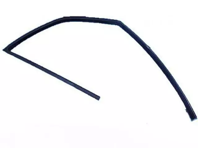 2002-2006 Ford - Run Channel - Ford (4L1Z-7821546-AA)