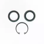 8772 - : STG. GEAR LWR PITMAN SHAFT SEAL KIT for Edelmann Image