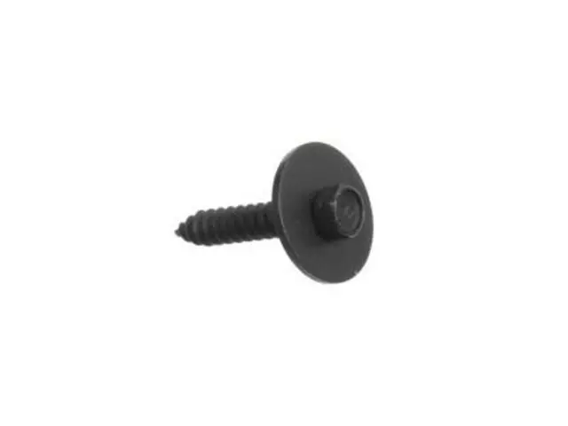 2003-2016 Ford Wheel Opening Molding Screw - Ford (N801169-S439)
